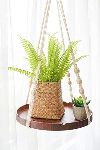 TIMEYARD Macrame Plant Hanger - Indoor Hanging Planter Shelf - Decorative Flower Pot Holder - Boho Bohemian Home Decor, in Box, for Succulents, Cacti, Herbs, Small Plants