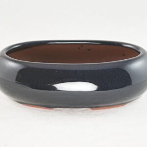 Narrow Oval Bonsai/Cactus & Succulent Pot 7.5"x 4.5"x 2" - Navy Blue Glazed