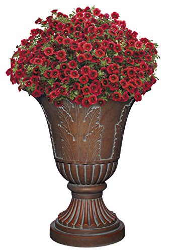 Classic Home & Garden 3/805AB/1 Exquisite Oakmont Planter, 21" Aged Bronze