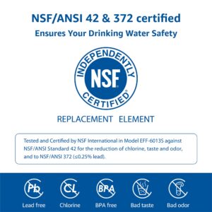 Waterspecialist MWF Refrigerator Water Filter Replacement for GE® MWF, SmartWater® MWFP, MWFA, GWF, HDX FMG-1, WFC1201, GSE25GSHECSS, PC75009, RWF1060, Kenmore® 9991, 3 Filters