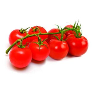 Jobe's Organics 09086 Tomato Slow Release Plant Food, 1 lb,red