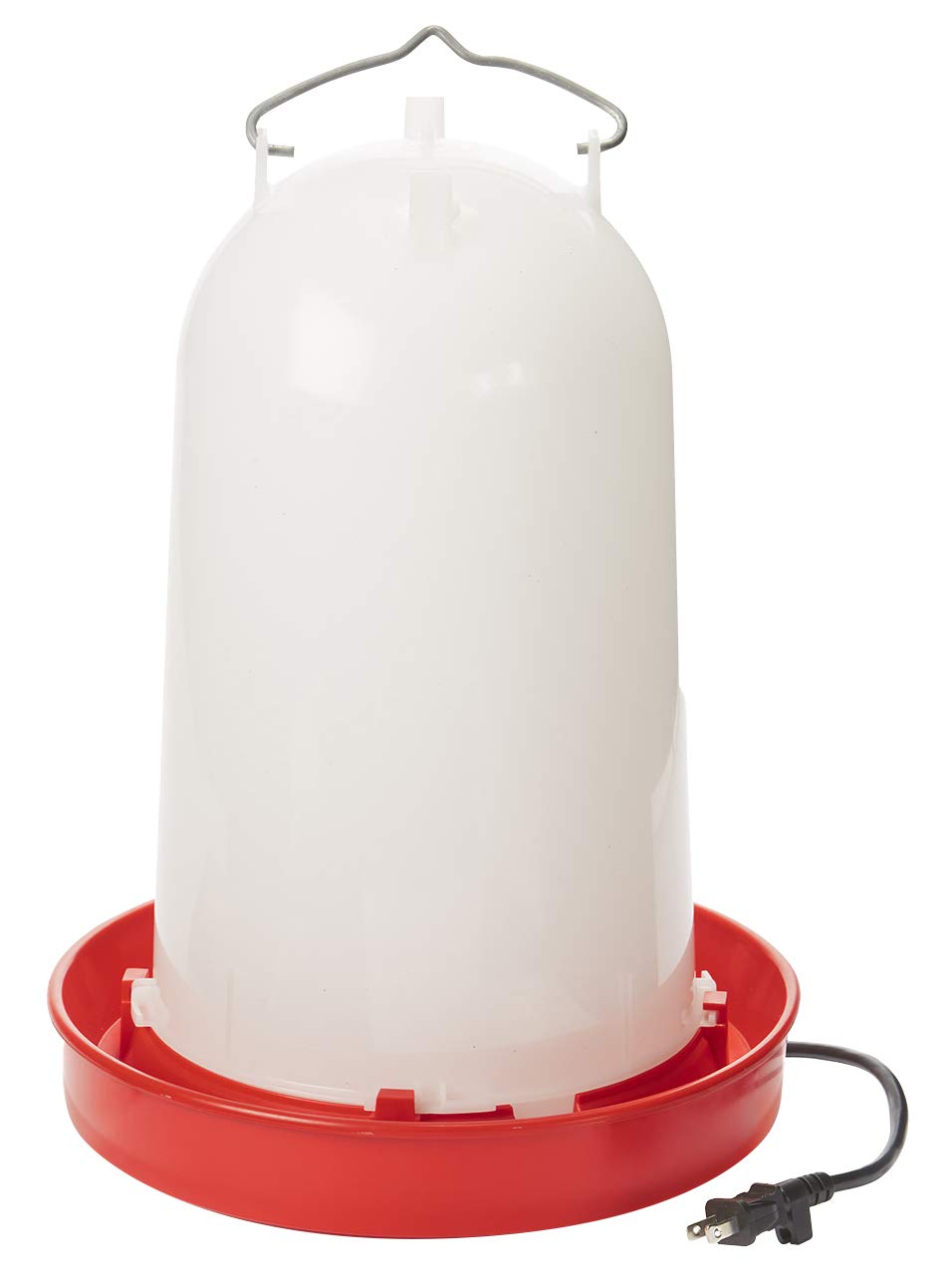 Heated Chicken or Bird Waterer - API - Heated Poultry Waterer, 3 Gallon (Item No. HPW33)