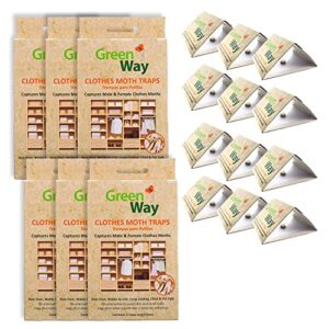 greenway clothing moth traps (12 traps) - moth traps for clothes closets - alternative to cedar balls and moth balls for closet - pheromone attractant & eco friendly