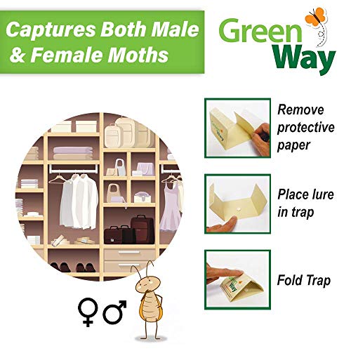 Greenway Clothing Moth Traps (12 Traps) - Moth Traps for Clothes Closets - Alternative to Cedar Balls and Moth Balls for Closet - Pheromone Attractant & Eco Friendly