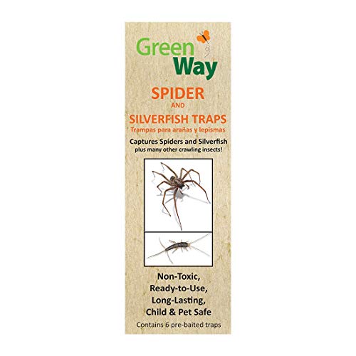 GreenWay Spider & Silverfish Trap - 72 pre baited Traps (12 Pack of 6), Ready to Use Heavy Duty Glue, Safe, Non-Toxic with No Insecticides or Odor, Eco Friendly, Kid and Pet Safe