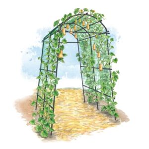 gardener’s supply company extra tall garden arch arbor 80in titan squash tunnel | lightweight metal, trellis plant stand for climbing vines | outdoor lawn tower & garden support structure