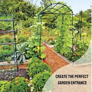 Gardener’s Supply Company Extra Tall Garden Arch Arbor 80in Titan Squash Tunnel | Lightweight Metal, Trellis Plant Stand for Climbing Vines | Outdoor Lawn Tower & Garden Support Structure