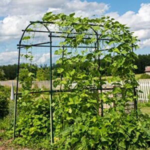 Gardener’s Supply Company Extra Tall Garden Arch Arbor 80in Titan Squash Tunnel | Lightweight Metal, Trellis Plant Stand for Climbing Vines | Outdoor Lawn Tower & Garden Support Structure