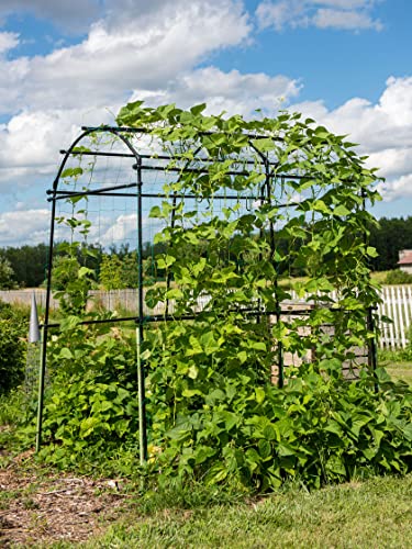 Gardener’s Supply Company Extra Tall Garden Arch Arbor 80in Titan Squash Tunnel | Lightweight Metal, Trellis Plant Stand for Climbing Vines | Outdoor Lawn Tower & Garden Support Structure