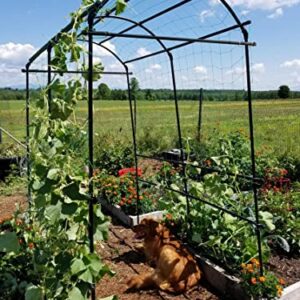 Gardener’s Supply Company Extra Tall Garden Arch Arbor 80in Titan Squash Tunnel | Lightweight Metal, Trellis Plant Stand for Climbing Vines | Outdoor Lawn Tower & Garden Support Structure