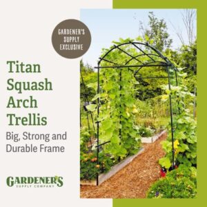 Gardener’s Supply Company Extra Tall Garden Arch Arbor 80in Titan Squash Tunnel | Lightweight Metal, Trellis Plant Stand for Climbing Vines | Outdoor Lawn Tower & Garden Support Structure