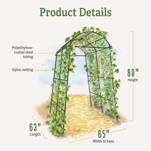 Gardener’s Supply Company Extra Tall Garden Arch Arbor 80in Titan Squash Tunnel | Lightweight Metal, Trellis Plant Stand for Climbing Vines | Outdoor Lawn Tower & Garden Support Structure