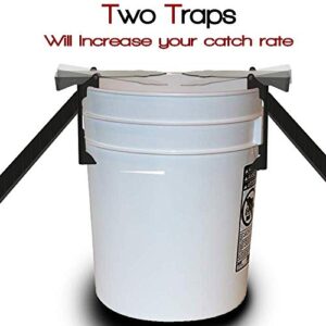 RinneTraps - 2 Pack Walk The Plank Mouse Trap | Bucket Mouse Trap | Mini Flip N Slide | 2 Free Ramps Included- Multi Catch, Auto Resetting | Humane | Catch and Release | Or Lethal