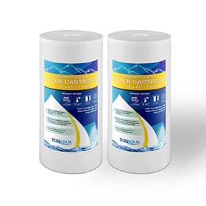 big sediment replacement water filters 1 micron 4.5"x 10" cartridges by ronaqua well-matched with rfc-bbsa, w15-pr, wfhd13001b, gxwh35f, gxwh30c, hf45-10blbk10pr and ap817(2 pack, 10")