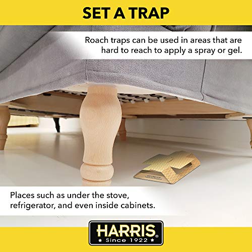 Harris Roach Glue Traps, Non Toxic (10-Pack)