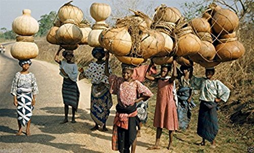 Bushel Basket Gourd Seeds,Fruit up to 100 lb,Make large baskets and decorations.(25 Seeds)