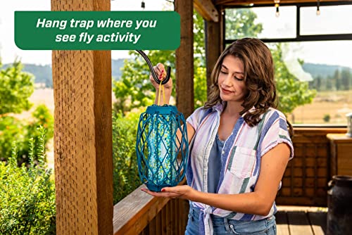 Rescue! Non-Toxic Trapstik for Biting Flies with Bird Guard