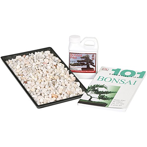 Brussel's Bonsai SPCOMBO3 13" Starter Success Kit Humidity Tray