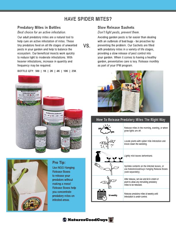 Nature's Good Guys 20,000 Live Adult Predatory Mites - P. persimilis - Ships Next Business Day!