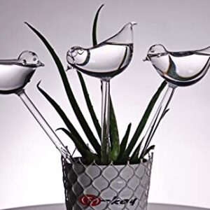 Durable glass Bird Design Watering globes - 3 pack Gift for gardeners, Her or Mom with 3 Water Bulbs, a Funnel + 3 spikes against dirt for Indoor Plants / Watering Bulbs, Water Globes, Home Decoration