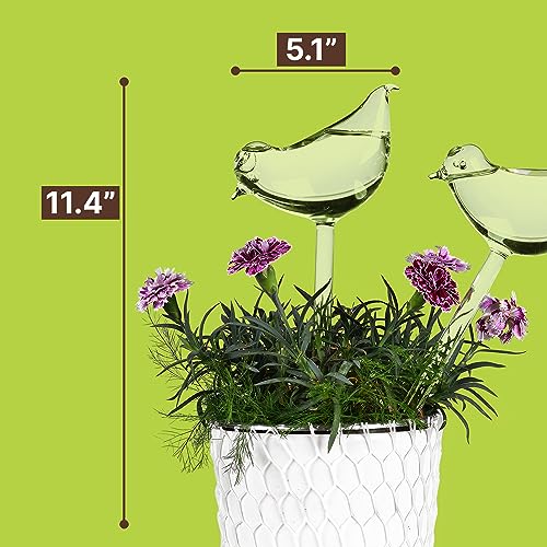 Durable glass Bird Design Watering globes - 3 pack Gift for gardeners, Her or Mom with 3 Water Bulbs, a Funnel + 3 spikes against dirt for Indoor Plants / Watering Bulbs, Water Globes, Home Decoration