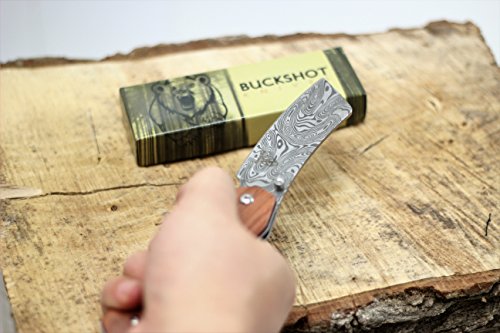 Wartech Buckshot Knives PBK220 Thumb Open Spring Assisted Tanto Cleaver Pocket Knives (PBK222DS)