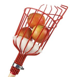 home-x fruit picker harvester basket with cushion to prevent bruising (pole not included)