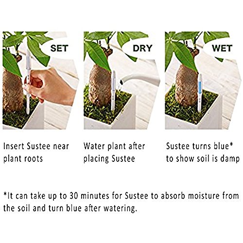 Sustee Aquameter (Small Green Refillable - Bundle of 2) - House Plant Soil Moisture Meter, Humidity Sensor Probe, Water Level Indicator - Best for Indoor Potted Plants