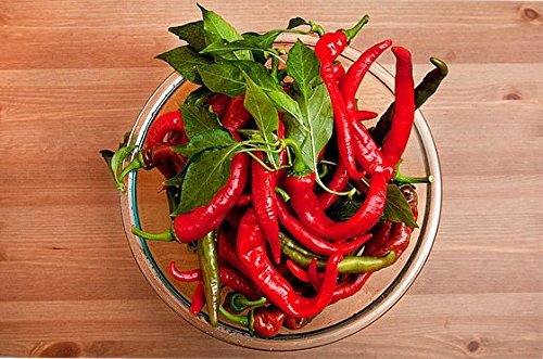 30+ Cow Horn Hot Pepper Seeds Heirloom Non-GMO Spicy, 10" Long, Productive! from USA