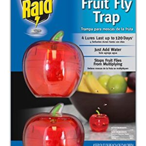 Raid Fruit Fly Trap, Indoor Fruit Fly Killer, Easy to Use Safe, Food-Based Lure Fly Catcher, 2 Traps + 120 Day Lure Supply