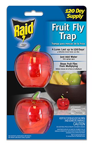 Raid Fruit Fly Trap, Indoor Fruit Fly Killer, Easy to Use Safe, Food-Based Lure Fly Catcher, 2 Traps + 120 Day Lure Supply