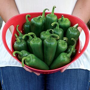 park seed park's whopper jalapeno pepper seeds, pack of 15 seeds