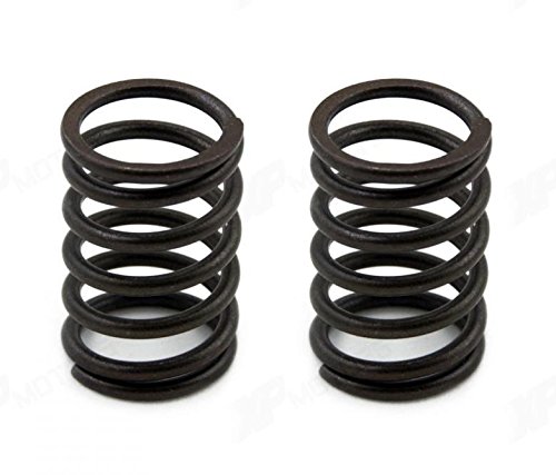 Sellerocity Valve Springs Compatible with Honda EB11000 EB3500 EB3800 EB5000 EB6500 EB7000 EG3500 EG5000 EM3500 EM3800 EM5000 EM6000 EM6500 EM7000 EN3500 EN5000 EU6500 EW140 EW171 EX3300 EX4500 EXW171