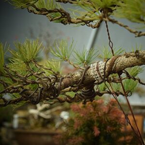 100gm Bonsai Wire [4.0mm]