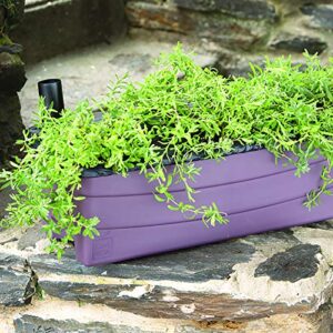 Earthbox 80656.01, Organic Junior Garden Kit, Eggplant