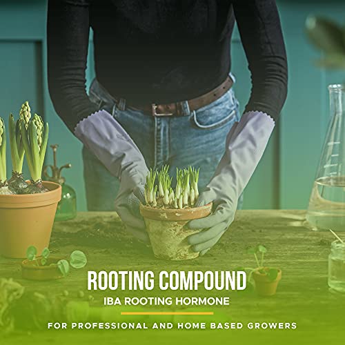 Rooting Gel for Cuttings – IBA Rooting Hormone - Cloning Gel for Strong Clones - Key to Plant Cloning - Midas Products Rooting Gel Hormone for Cuttings 4oz - for Professional and Home Based Growers (1 Pack)