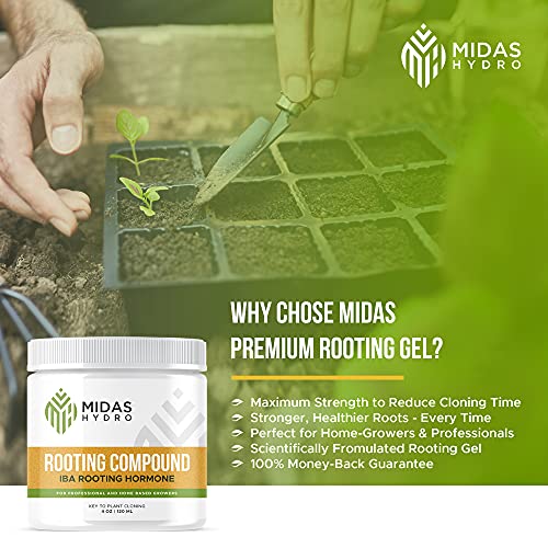 Rooting Gel for Cuttings – IBA Rooting Hormone - Cloning Gel for Strong Clones - Key to Plant Cloning - Midas Products Rooting Gel Hormone for Cuttings 4oz - for Professional and Home Based Growers (1 Pack)