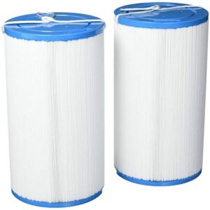Smart Spa Supply HSAK-4031-2 2 Pack-Hot Springs Freeflow Spa Replacement Filter-303279, White and Blue