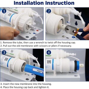 Membrane Solutions 150 GPD RO Membrane, Reverse Osmosis Membrane, RO Membrane Replacement, Reverse Osmosis Filter Replacement for Under Sink Home Drinking RO Water Purifier System (2 PACK)