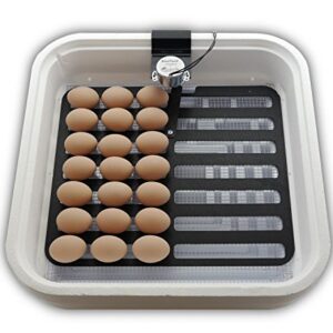 HovaBator 2370 Egg Incubator Deluxe Combo Kit, Electronic Thermostat, Circulating Air Fan, Automatic Egg Turner, Hygrometer for Humidity Measurement, Quail - Goose Hatching Eggs, Poultry