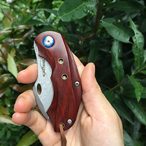 ALBATROSS HGDK003 Sharp Damascus Folding Pocket Knife with Liner Lock, Yellow Sandalwood Handle, 6-INCH, Gifts/Collections