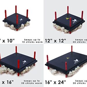 RentACoop Chick Brooder Heating Plate and Anti-Roost Cone Set- Brooder Heat Plate Warms Up to 30 Chicks - Chick Heater with 25 Adjustable Heights and 42 Watts - Safer Than to Heat Lamps - 16" x 16"