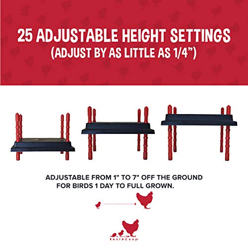 RentACoop Chick Brooder Heating Plate and Anti-Roost Cone Set- Brooder Heat Plate Warms Up to 30 Chicks - Chick Heater with 25 Adjustable Heights and 42 Watts - Safer Than to Heat Lamps - 16" x 16"