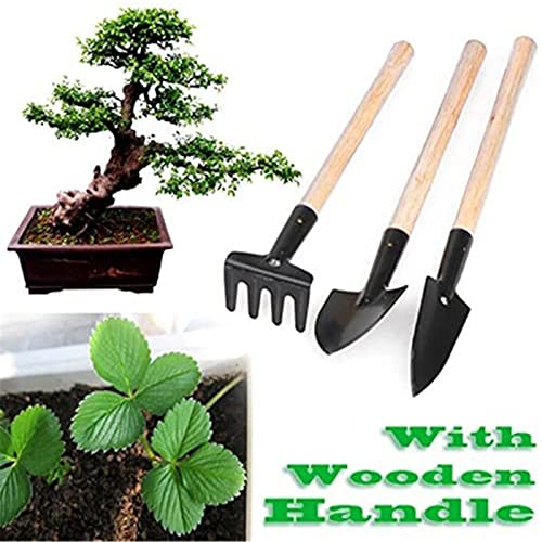 6 Pcs Garden Tools Mini Gardening Kit Plant Potted Flower Gadget Wooden Handles for Transplanting Seedlings, Cultivating and Weeding Flowers and Vegetable Seedlings