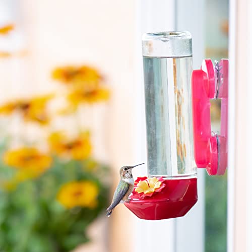 Perky-Pet 455-2 Mounted 445-2 Glass Window Hummingbird Feeder, Red – 14 oz