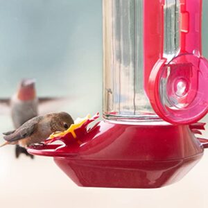 Perky-Pet 455-2 Mounted 445-2 Glass Window Hummingbird Feeder, Red – 14 oz