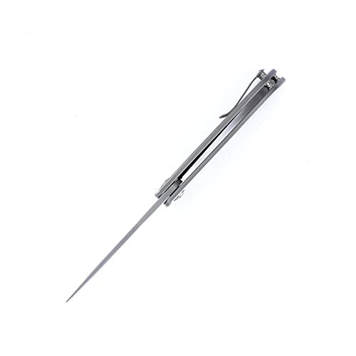 Kizer Cutlery Folding Pocket Knives Flipper Titanium Handles Knife, Nick Swan Ki4510A2