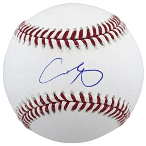 Angels Shohei Ohtani Signed Oml Baseball Autographed MLB & Fanatics - Autographed Baseballs