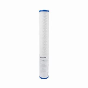 Everpure CG5-20S 20" Water Filtration Cartridge, 2-Pack