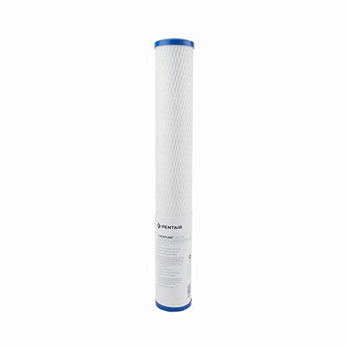 Everpure CG5-20S 20" Water Filtration Cartridge, 2-Pack